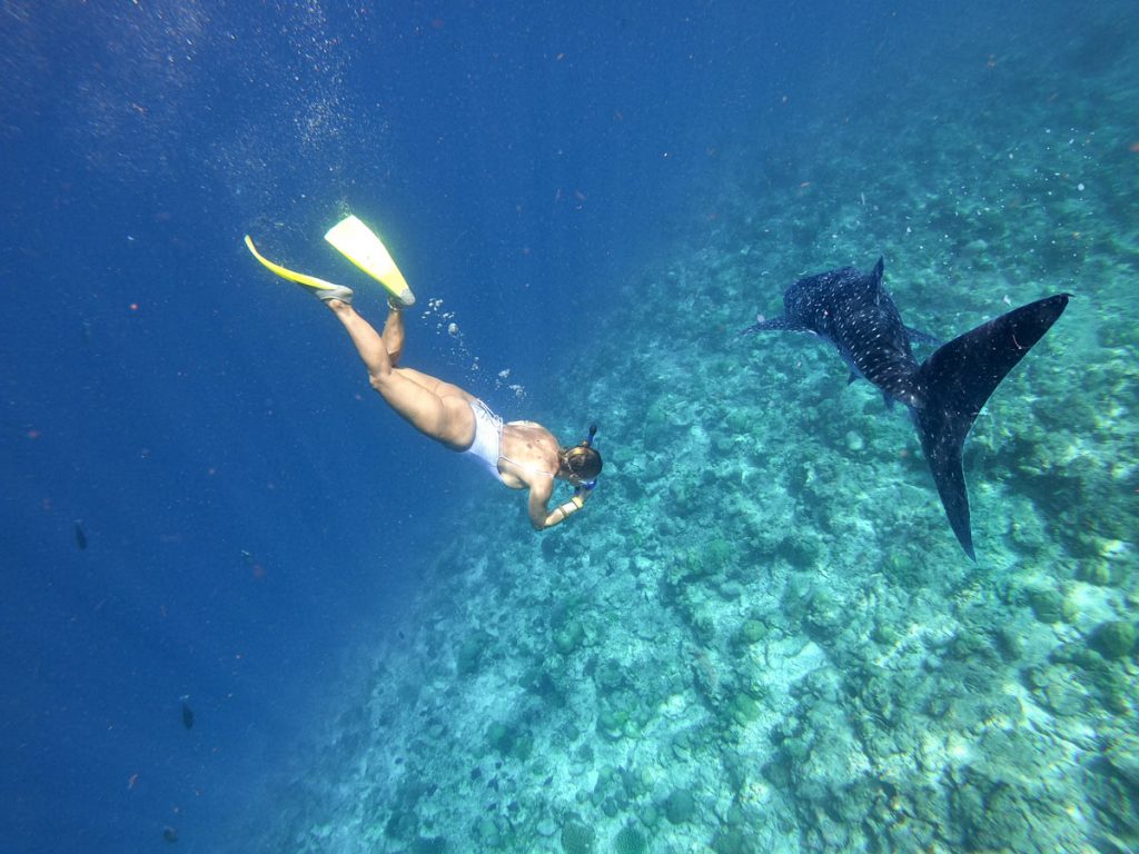 kitopsina-diving-underwater-maldives-maldivi