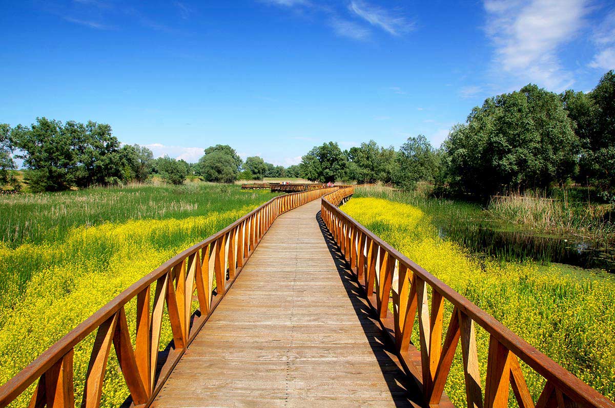 Kopački rit, istinski baranjski biser - Skitnice.hr