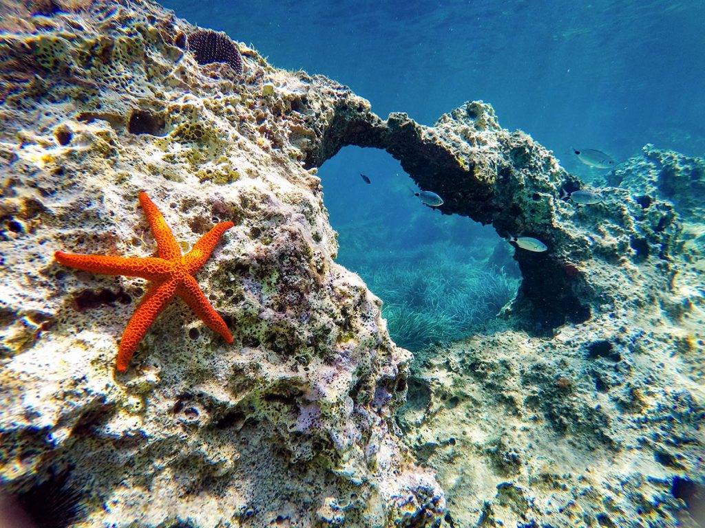underwater-photography-croatia-sea