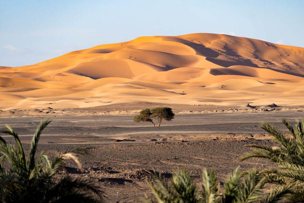 maroko-pustinja