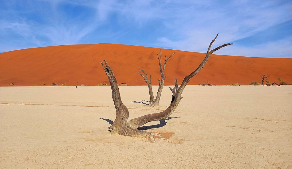 pustinja-namib