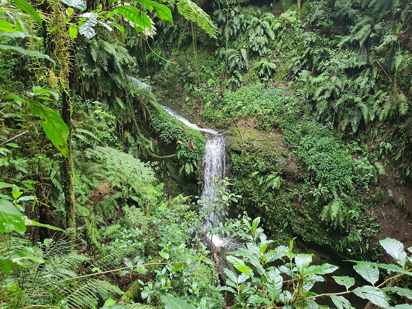 slapovi-kilimandzaro