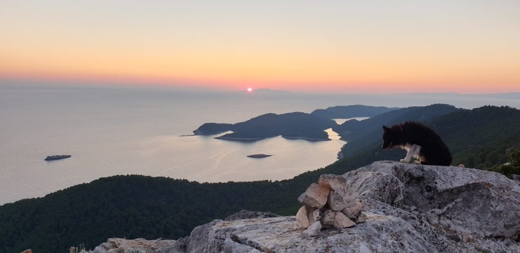 mljet-fotografija