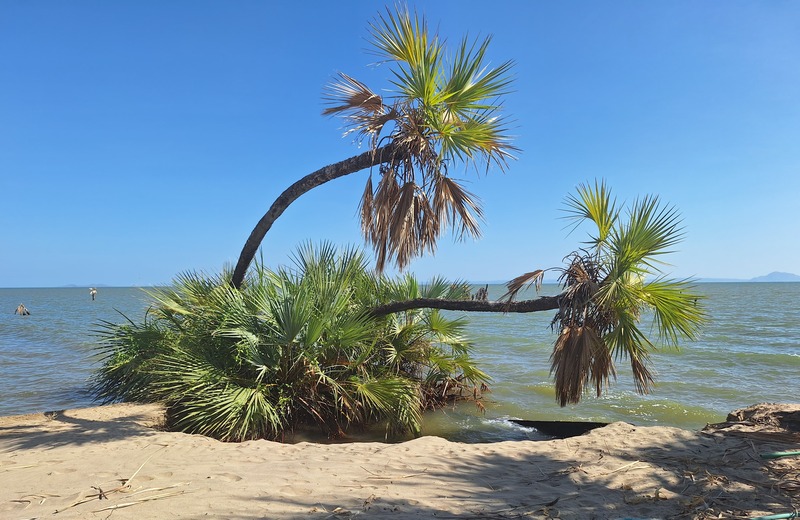 jezero-turkana