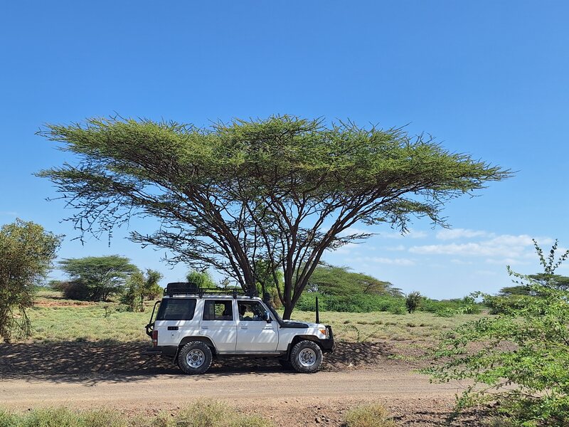 jezero-turkana