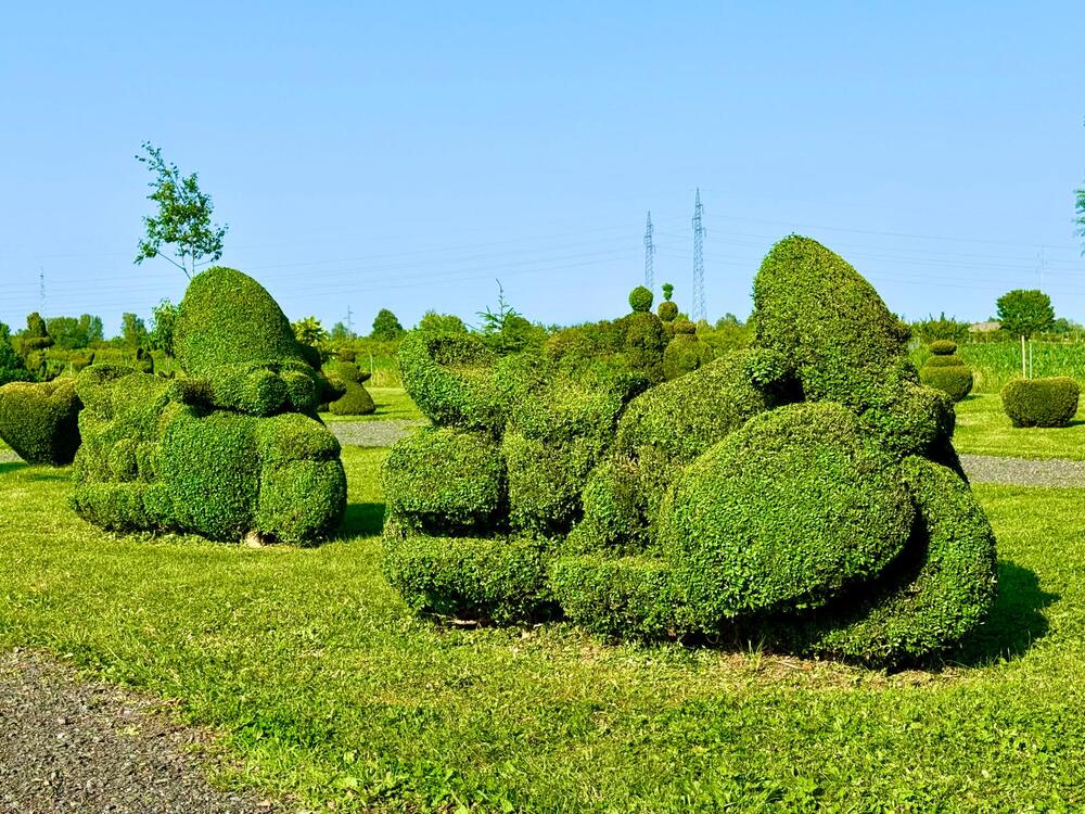 topiary-park