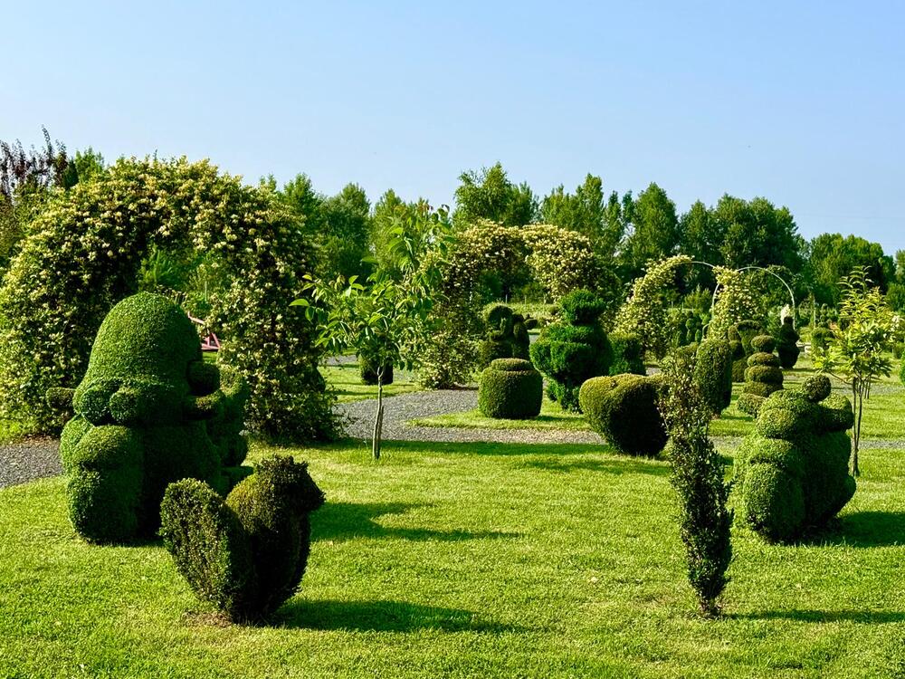 topiary-park