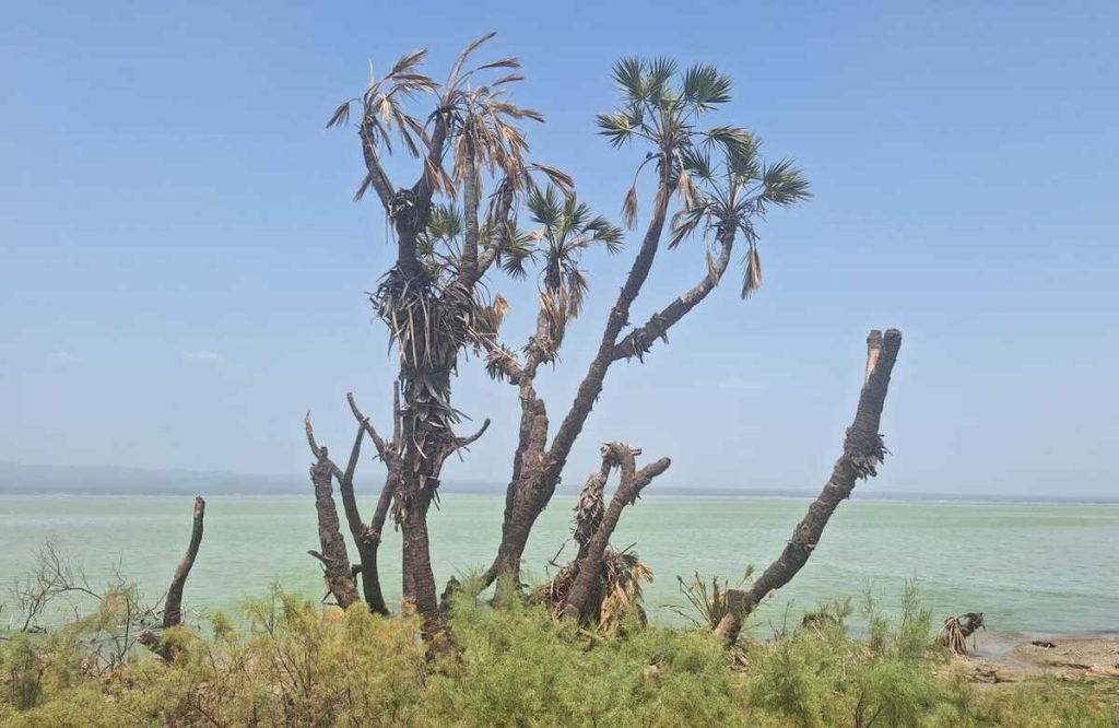 afrera-danakil