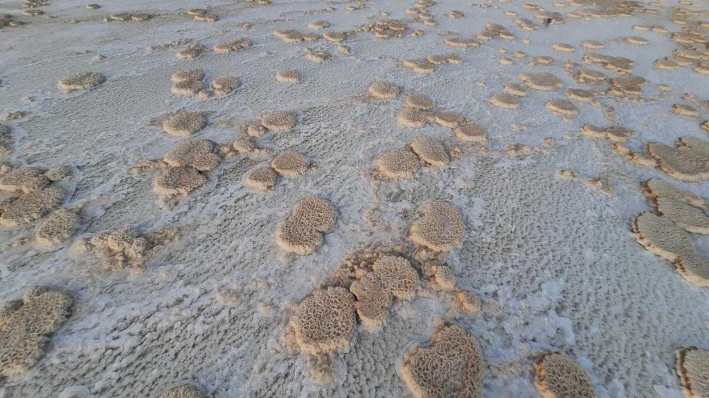 karum-danakil