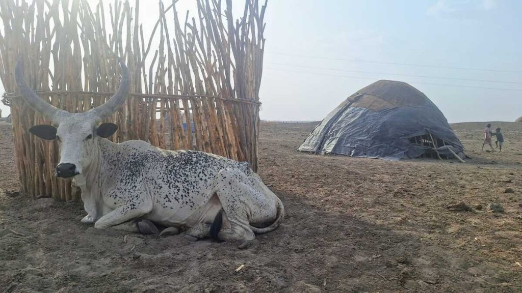 danakil-afar-selo