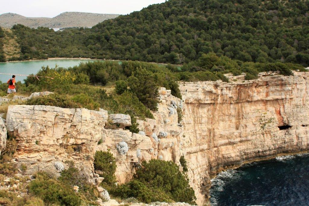 telascica
