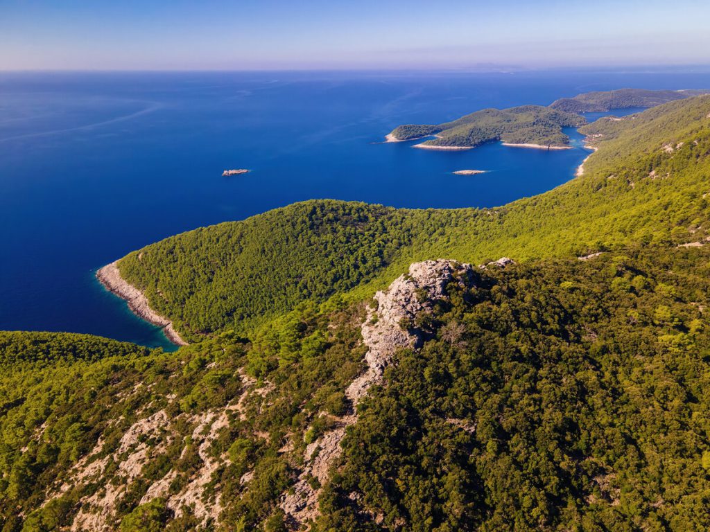 np-mljet
