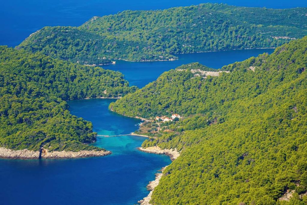 np-mljet-65-rodendan