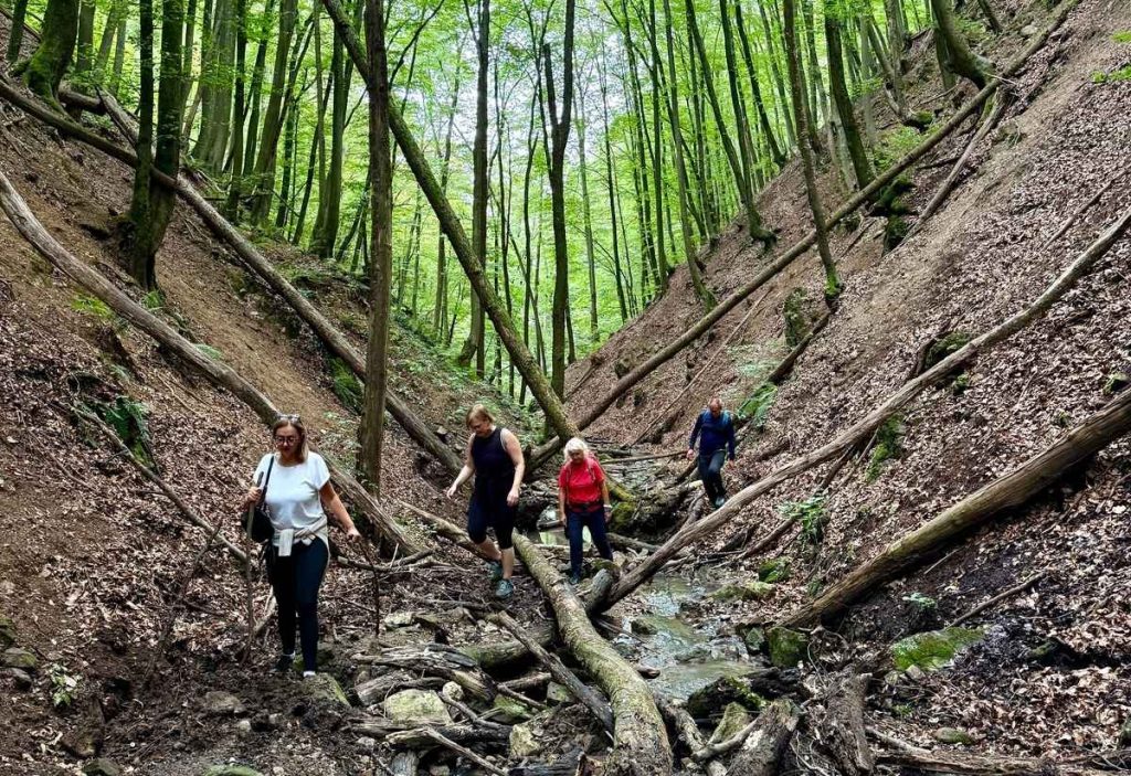 team-building-vrazji-skok-staza