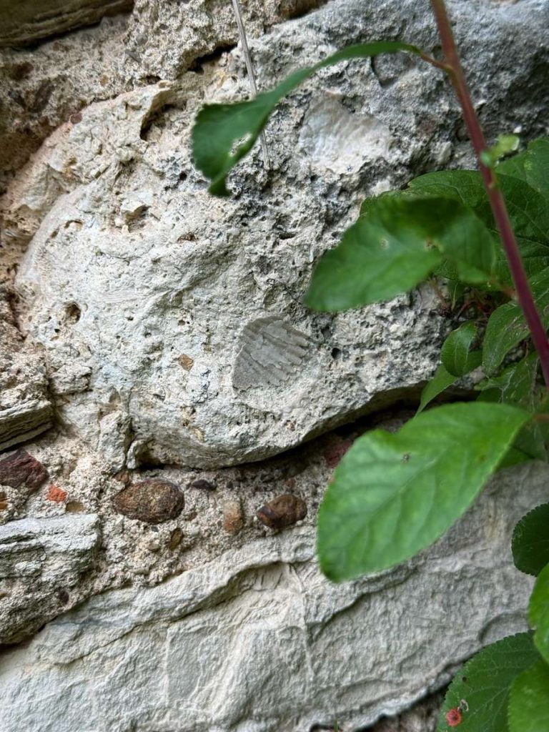 okamina-banovina-panonsko-more