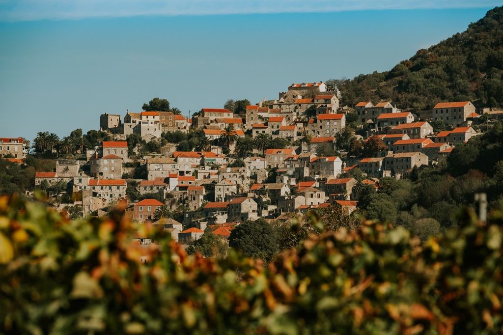 dan mediterana Ante Gugic