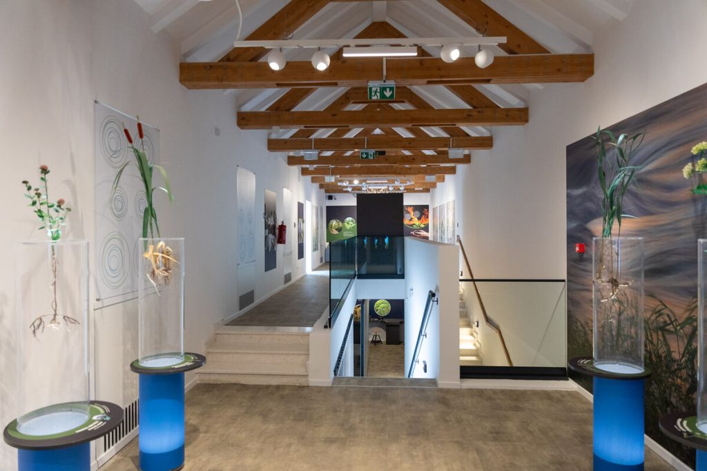 Krka vrelo života kat