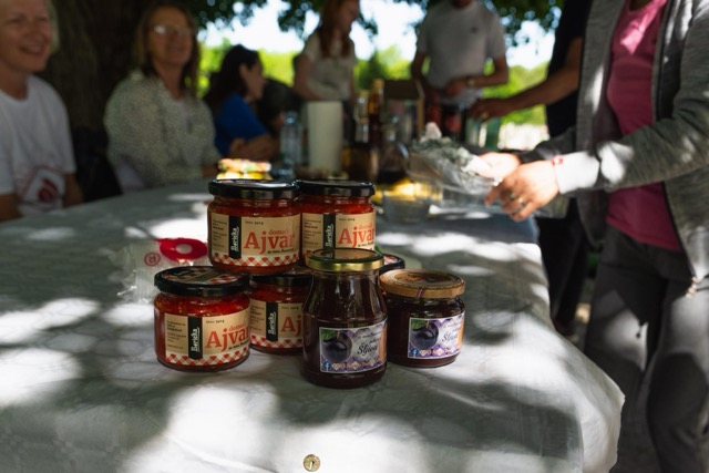 camino banovina 2026 5