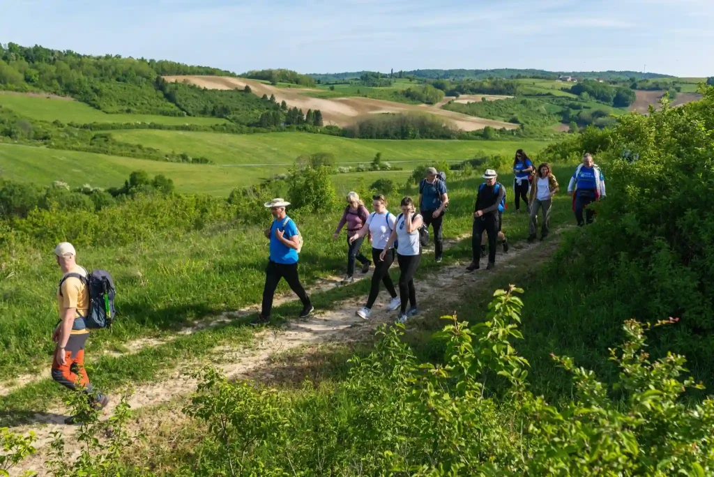 camino banovina 2026 6