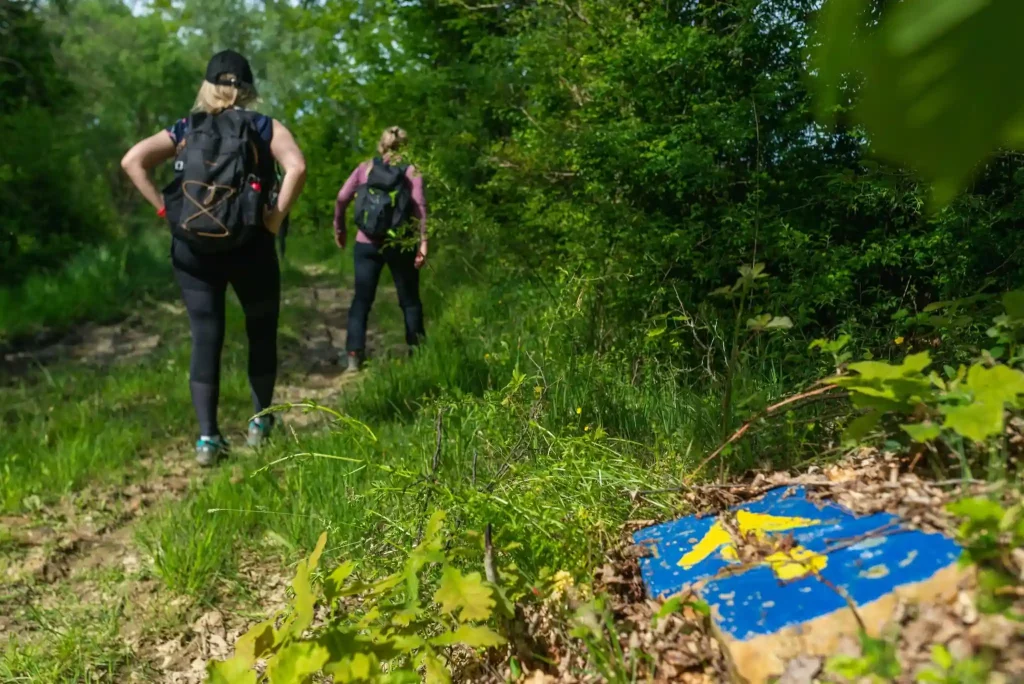 camino-banovina-2026 