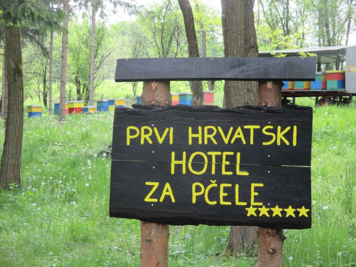 hotel-za-pcele