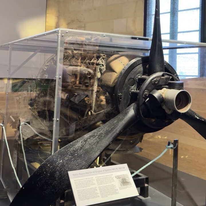 Velika stavka IMG 6319