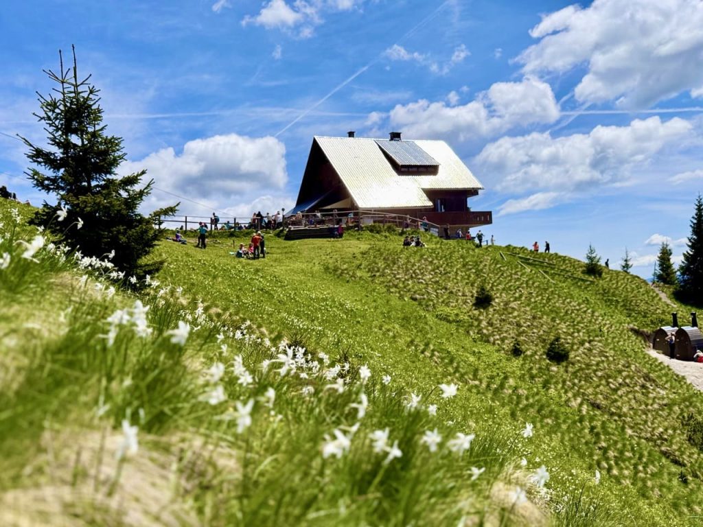 Koca na Golici na proljetnoj ruti