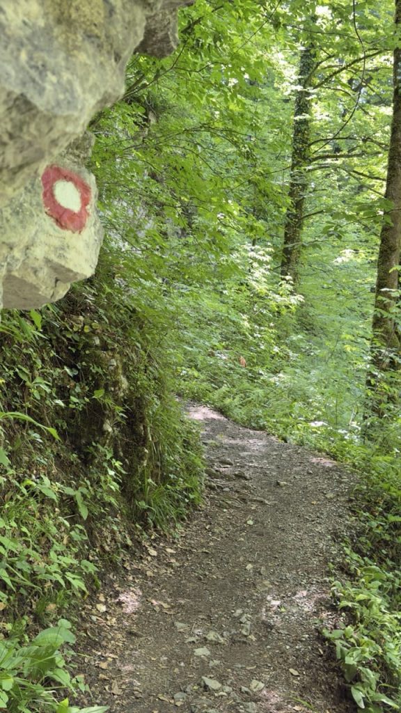 setnica