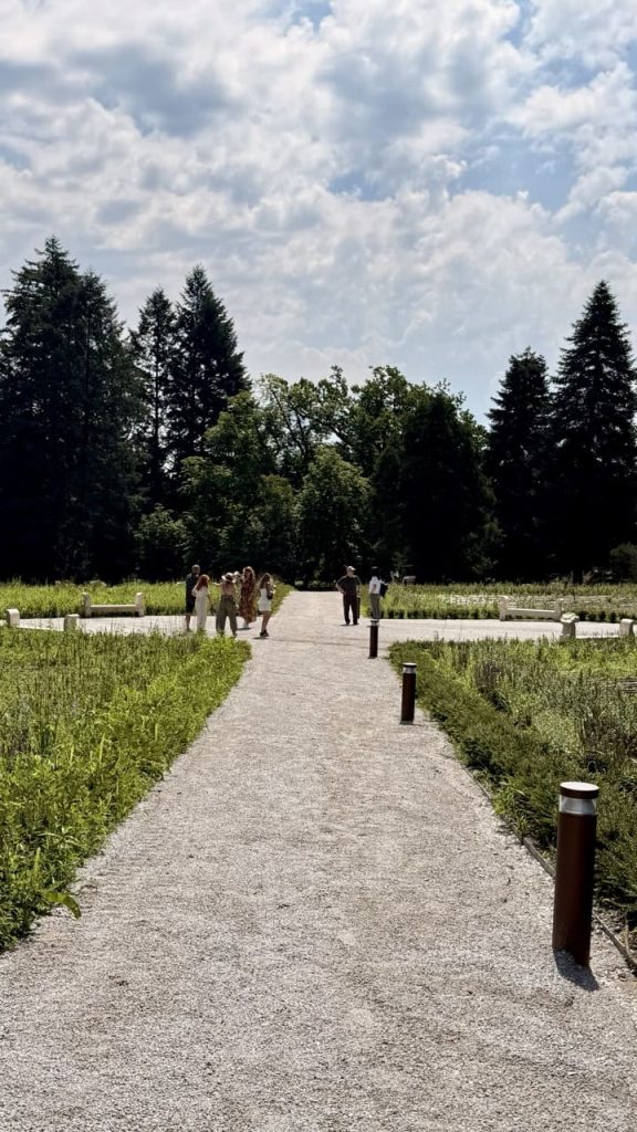 arboretum opeka 2