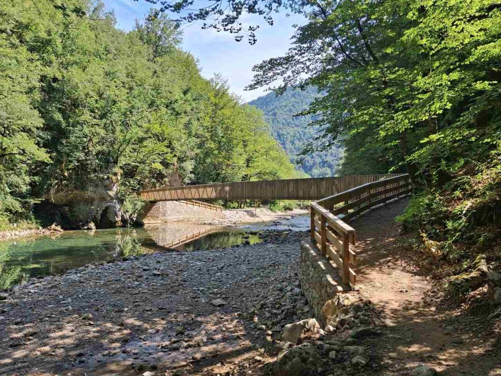 Np Risnjak arhiva