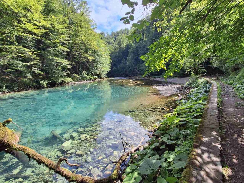 arhiva NP Risnjak